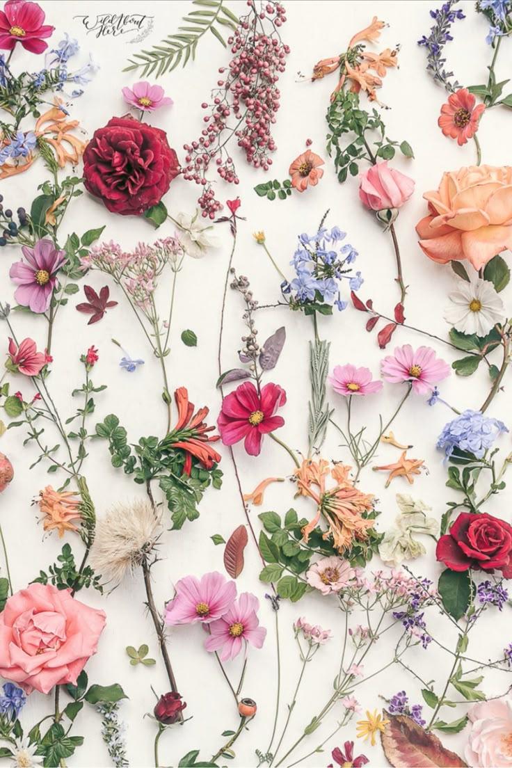 Eternal Embrace of Vibrant Blossoms